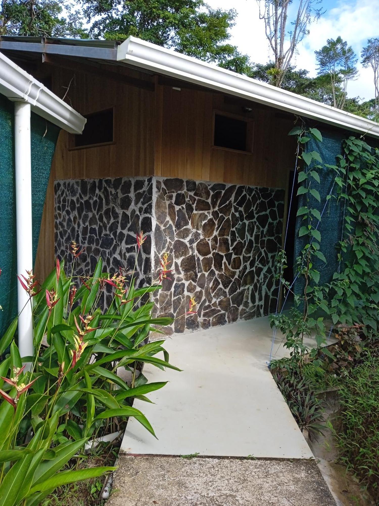 Cabanas Bajo Bosque Drake Drake Bay Exterior photo